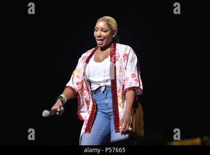 Miami, FL, USA. 23. Juni 2018. NeNe Leakes führt während der Ladies Night Out Komödie Tour bei James L Knight Center am 23. Juni 2018 in Miami, Florida. Quelle: MPI 10/Media Punch/Alamy leben Nachrichten Stockfoto