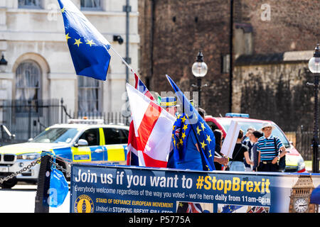 London, Großbritannien, 25. Juni 2018: Menschen, EU Europäische Union Blaue Flaggen an anti Brexit Protest in Großbritannien England von Westminster mit Anzeichen für Anschlag, stopbrexit Politik Quelle: Kristina Blokhin/Alamy leben Nachrichten Stockfoto