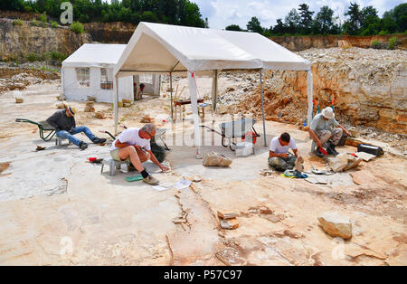Wattendorf, Deutschland. 21 Juni, 2018. Albert Lenze (von links nach rechts), Matthias Maeuser, Adi Weller und Thomas Bechmann am Graben arbeiten im Steinbruch in der Nähe von Wattendorf. Der Steinbruch in der Nähe von Wattendorf produziert täglich gut Fossilien, darunter einen gyrodus hexagonus macrophthalmus, der sich über die Bamberg Museum für Naturkunde am 26. Juni gedreht werden beibehalten. Quelle: Matthias Merz/dpa/Alamy leben Nachrichten Stockfoto