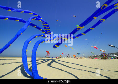 Berck-sur-Mer (Frankreich), ÒCote dÕOpaleÓ Küstenregion: Berck International Kite Festival (Ricv) am 2011/04/23. Stockfoto