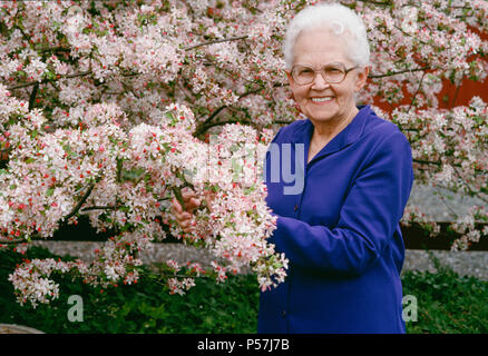 Attraktive ältere Frau sitzt in ihrem Garten mit einem blühenden Baum, USA Stockfoto