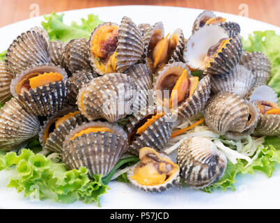 Gekocht frisch cockle mit dem Blut, das auf dem weißen Teller für im Thailändischen Restaurant servieren. Stockfoto