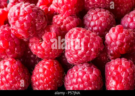 Himbeere Obst Hintergrund. Makro. Stockfoto