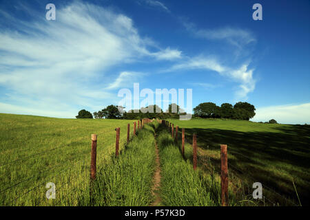 Eingezäunt Wanderweg durch das Feld in Richtung Brabourne Lees und Smeeth in der Nähe von Ashford, Kent, Großbritannien Stockfoto