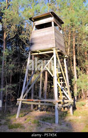 Barsch in einem Wald Stockfoto