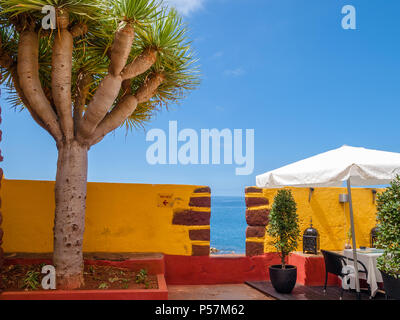 Blick auf die alte Burg Fortaleza de Sao Tiago in Funchal, Madeira, Portugal Stockfoto