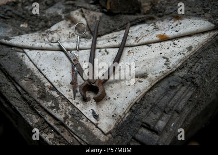 Das verlassene Ton Färbereien oder Ton Mühlen wie sonst bekannt. In der Nähe der Stadt Wellington, Somerset. Bild, Juli 2013 Stockfoto