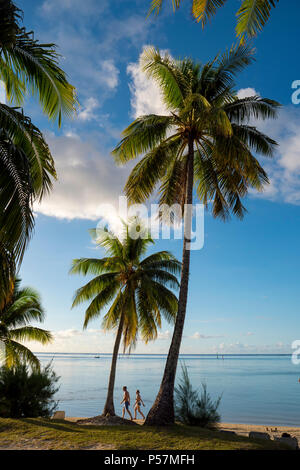 Les Tipaniers Hotel, Tiahura, Moorea, Französisch Polynesien, South Pacific Stockfoto