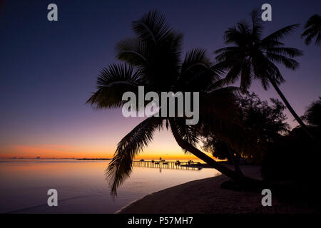 Sunrise, Les Tipaniers Hotel, Tiahura, Moorea, Französisch Polynesien, South Pacific Stockfoto