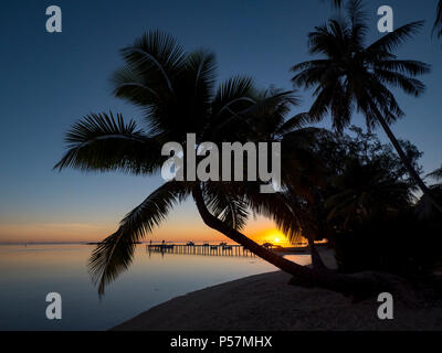 Sunrise, Les Tipaniers Hotel, Tiahura, Moorea, Französisch Polynesien, South Pacific Stockfoto