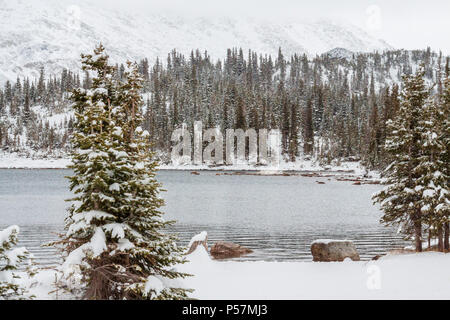 Früh Schnee Sturm Oktober in Medicine Bow National Forest entlang Scenic Highway 130 im südöstlichen Wyoming. 29 km Snowy Range Road, Highway 130. Stockfoto