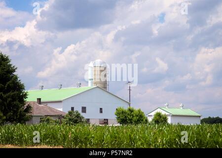 Talmage, PA, USA - 24. Juni 2018: einem großen weißen Scheune mit einem grünen Dach in die Pennsylvania Dutch Heartland von Lancaster County. Stockfoto