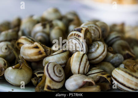 Platte der gekochten Schnecken oder Escargot Stockfoto