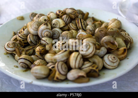 Platte der gekochten Schnecken oder Escargot Stockfoto