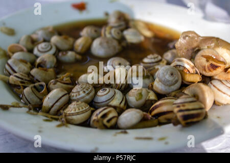 Platte der gekochten Schnecken oder Escargot Stockfoto