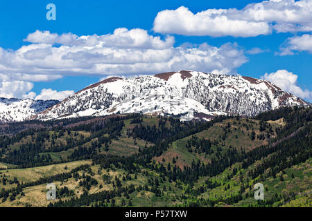 Die schneebedeckten Berge der Salt River in Bridger Teton National Forest von Salt River Pass, Wyoming, USA Stockfoto