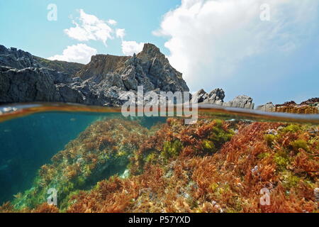 An der felsigen Küste mit Algen unter Wasser im Mittelmeer, in der geteilten Ansicht oberhalb und unterhalb der Wasseroberfläche, Pyrenees Orientales, Frankreich Stockfoto