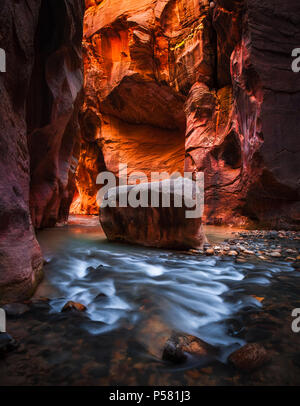 Hell erleuchtete Red Canyon Wände leuchten tief in die Narrows des Virgin Flusses des Zion Nationalparks in Utah. Stockfoto