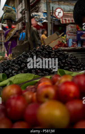 Java Pflaumen und Apple für Verkauf in Indien Stockfoto