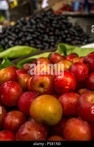 Java Pflaumen und Apple für Verkauf in Indien Stockfoto