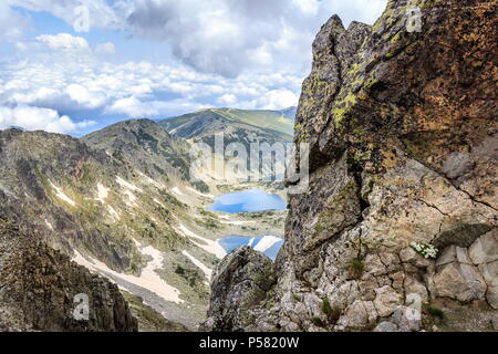 Bunte Vordergrund rock mit weißen, kleinen Blüten und entfernten Rila Gebirge Seen auf der Strecke Mussala Gipfel Stockfoto