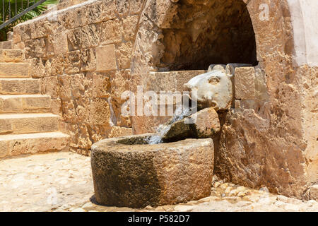 Frisches Wasser läuft durch ein Wildschwein Statue in ein Becken aus Stein, Agia Napa, Ayia Napa, Ayia Napa, Zypern Stockfoto