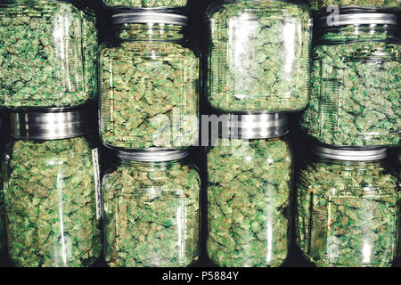 Detaillierte Textur backround von Cannabis Blume für dispensary in klare Krüge Stockfoto