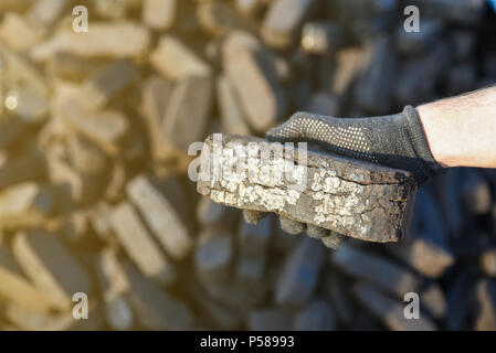 Stichprobe von Torf Brikett in der Hand, alternative Kraftstoffe, Rohstoff Stockfoto