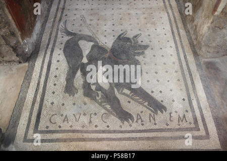 Hund in der römischen Mosaik Cave Canem dargestellt (Vorsicht vor dem Hund) in das Haus des Tragischen Dichters (Casa del Poeta Tragico) in die archäologische Stätte von Pompeji (Pompei) in der Nähe von Neapel, Kampanien, Italien. Stockfoto