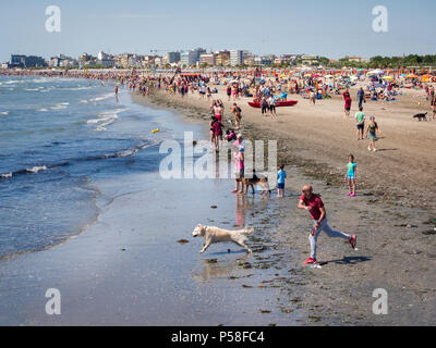 Sottomarina, Italien - 23. Juni 2018: Mann wirft Kunststoff Knochen ins Meer und seinem Hund läuft es zu fangen. Stockfoto