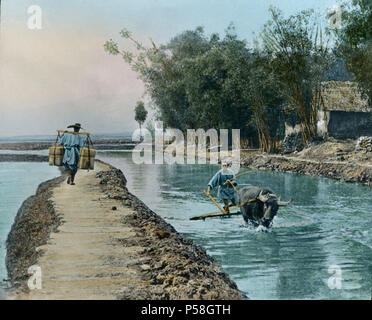 Schmutz der Straße zwischen Reisfeldern, China, Hand-Colored magische Laterne Folie, Newton & Company, 1930 Stockfoto