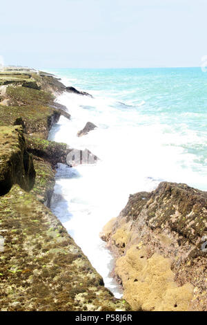 Pedra Oca Strand, Nísia Floresta, Rio Grande do Norte, Brasilien Stockfoto