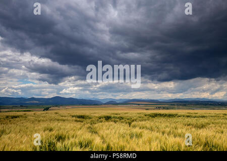 Landschaft in Neamt - Rumänien in der Sommersaison mit bewölktem Himmel Stockfoto