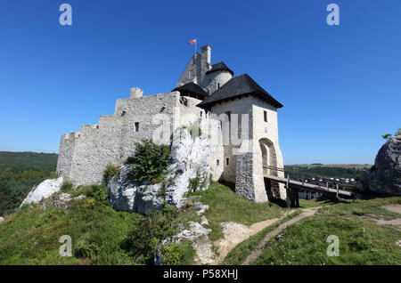 Mittelalterliche Burg Lindenberg, Polen Stockfoto