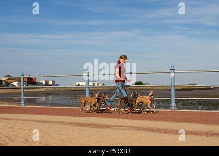 Morecambe, Lancashire. UK Wetter. 26.06.2018. Sonnigen Start in den Tag an der Küste. Als Tor zu den Seen das Resort hat einen weiten Blick über die Morecambe Bay zu den Bergen des Lake District bekannt. Saisonale Händler Bericht eine Erhöhung zum Geschäft wie das heiße Wetter Urlauber, Ausflügler und Touristen zum Meer zieht. Credit: MediaWorldImagesAlamyLiveNews. Stockfoto