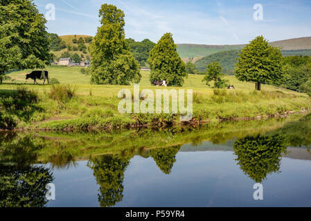 Whitewell, Clitheroe, Lancashire, UK. 26 Juni, 2018. Ein ruhiger Fluss Hodder bei Whitewell, Clitheroe, Lancashire, an einem Tag, in dem Temperaturen erwartet werden zu 27 plus erreichen. Quelle: John Eveson/Alamy leben Nachrichten Stockfoto