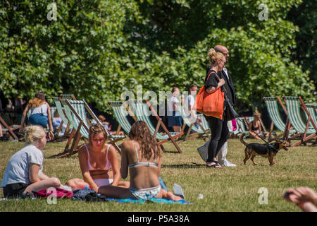 Green Park, London. 26 Jun, 2018. UK Wetter: eine Gruppe von Frauen, Karten spielen - Leute ihre Mittagspause in der warmen und sonnigen Bedingungen im Green Park genießen. Credit: Guy Bell/Alamy leben Nachrichten Stockfoto