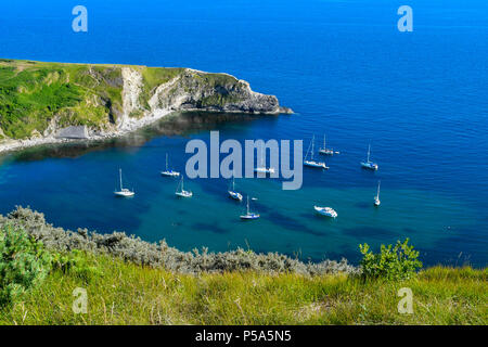 Lulworth Cove, Dorset, Großbritannien. 26. Juni 2018. UK Wetter. Yachten und Sportboote in Lulworth Cove in Dorset an einem Tag der heißen Sonne und strahlend blauen Himmel während der Hitzewelle. Foto: Graham Jagd-/Alamy leben Nachrichten Stockfoto