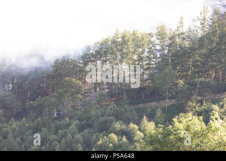 Rheidol Valley, Ceredigion, Wales, Großbritannien, 26. Juni 2018 Deutschland Wetter: EIN Gras Feuer, die entlang der Rheidol Valley in der Nähe von Devils Bridge in Ceredigion verbreitet hat, können für Meilen als dichter Rauch steigt in die Luft gesehen werden. Die Feuerwehrleute wurden um 11.30 Uhr heute Morgen angerufen und sind noch in der Szene. (6.39 Uhr) Als das Feuer auf einem steilen Tal eingestuft ist, so dass es schwierig ist, zu löschen, mit der Möglichkeit, einen Hubschrauber, um es zu löschen, da sie nicht in der Lage sind, Zugriff zu erhalten. Credit: Ian Jones/Alamy leben Nachrichten Stockfoto