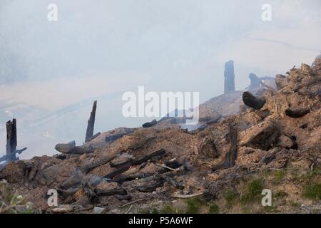 Rheidol Valley, Ceredigion, Wales, Großbritannien, 26. Juni 2018 Deutschland Wetter: EIN Gras Feuer, die entlang der Rheidol Valley in der Nähe von Devils Bridge in Ceredigion verbreitet hat, können für Meilen als dichter Rauch steigt in die Luft gesehen werden. Die Feuerwehrleute wurden um 11.30 Uhr heute Morgen angerufen und sind noch in der Szene. (6.39 Uhr) Als das Feuer auf einem steilen Tal eingestuft ist, so dass es schwierig ist, zu löschen, mit der Möglichkeit, einen Hubschrauber, um es zu löschen, da sie nicht in der Lage sind, Zugriff zu erhalten. Credit: Ian Jones/Alamy leben Nachrichten Stockfoto