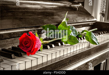 Rote Rose auf der Grand Piano keys. Jahrgang anzeigen. Stockfoto