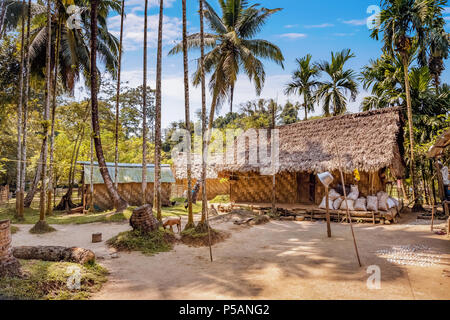 Indisches Dorf mit reetgedeckten Hütten und Innenhof auf Baratang Insel Andaman, Indien. Stockfoto