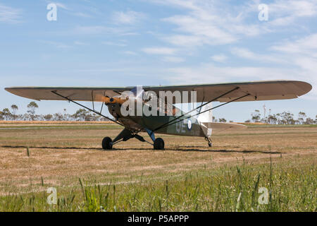 Piper J-3 C-65 Cub (Piper L-4 Grasshopper) einmotorige Flugzeuge in die Markierungen von Nr. 4 Squadron Roy Stockfoto