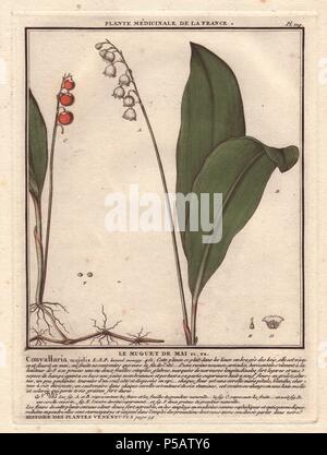 Lilie des Tales. . Le Muguet de Mai (Convallaria majalis). . Der französische Botaniker Jean Baptiste François Pierre Bulliard wurde um 1742 geboren in La Chaume-en-Barrois (Haute Marne) und starb am 26. September 1793 in Paris. Er studierte in Angers, und später dargestellt und veröffentlicht eine Reihe von botanischen und mykologischen Arbeiten auf Französisch Flora. Er studierte Kunst und Gravur unter Francois Martinet, dem gefeierten Künstler vieler Buffon natürliche Geschichte Bücher. Stockfoto