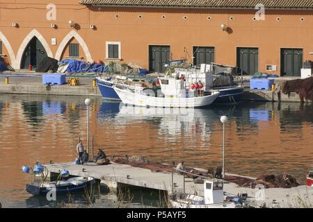 Puerto de Palma desde La Terraza de La Lonja. La Llotja, siglo XV Palma. Mallorca Islas Baleares. España. Stockfoto