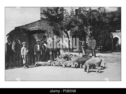 N/A. Italiano: Foto di Ferentino dei Primi del Novecento. 29. Mai 2009. Unbekannt 554 Ferentino storica Largo Ambrogiano - Fiera dei maiali Stockfoto