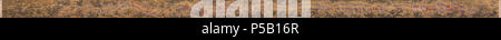 N/A. Englisch: 'Departure Herald', 26 m (85 ft) Länge, von der Herrschaft Jiajing Periode (1522-1566 AD); das Gemälde zeigt große Prozession des Kaisers auf dem Weg zur kaiserlichen Gräber der Ming Kaiser liegt etwa 50 km nördlich der Hauptstadt Peking. Dieses Gemälde ist in der Regel mit einem Panoramablick auf die Malerei als "Clearing" zurückkehren, 31 m (98 ft) in der Länge, die der Kaiser der Rückkehr in die Hauptstadt aus den Gräbern von River Boat Shows gepaart. Von Paludan Quelle unten aufgeführt, dieser Abschnitt beschreibt eine bestimmte Szene dieser Malerei: 'Detail einer Seide blättern, der Ansatz der Kaiser Stockfoto