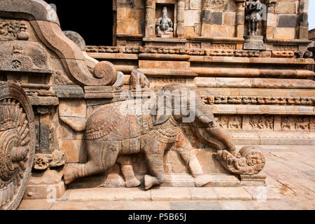 Balustrade, geschnitzten Elefanten und Shivas Wagen am Eingang der Airavatesvara Tempel, Darasuram, Tamil Nadu, Indien Stockfoto