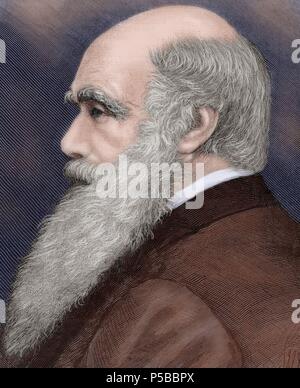 Charles Robert Darwin (1809-1882), britischer Naturforscher. Farbige Gravur. Stockfoto