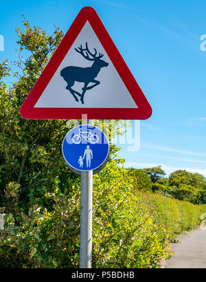 Rotes Dreieck Warnung Schild heraus für Rotwild, Kinder und Radfahrer auf einer Landstraße an einem sonnigen Tag mit blauen Himmel zu sehen, East Lothian, Schottland, Großbritannien Stockfoto